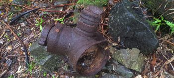 Kittyhawk propeller hub near Skerretts Creek - 2026 - © wainuiomata.net