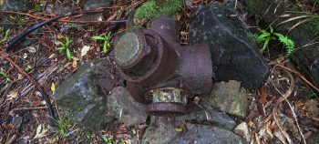 Kittyhawk propeller hub near Skerretts Creek - 2026 - © wainuiomata.net