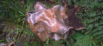 Kittyhawk metal tank near Skerretts Creek - 2026 - © wainuiomata.net