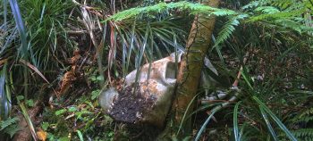 Kittyhawk metal tank near Skerretts Creek - 2026 - © wainuiomata.net