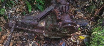 Kittyhawk landing gear near Skerretts Creek - 2026 - © wainuiomata.net