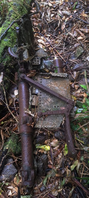 Kittyhawk landing gear near Skerretts Creek - 2026 - © wainuiomata.net