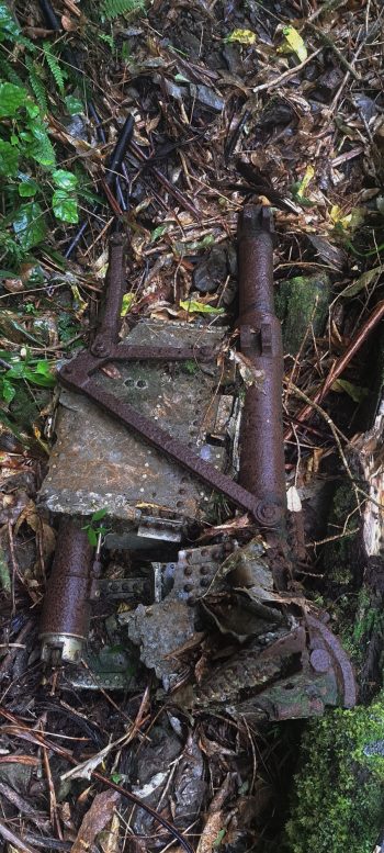 Kittyhawk landing gear near Skerretts Creek - 2026 - © wainuiomata.net