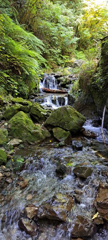 Skerretts Creek - 2026 - © wainuiomata.net