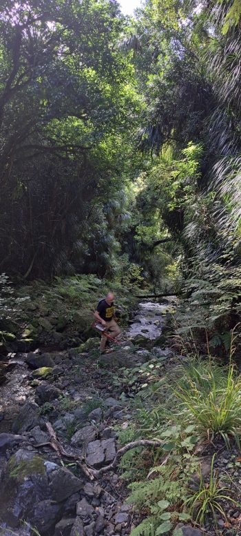 Skerretts Creek - 2026 - © wainuiomata.net