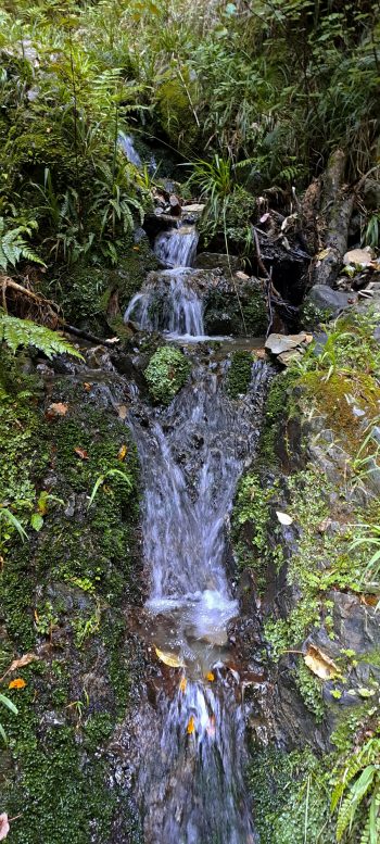Skerretts Creek waterfall - 2026 - © wainuiomata.net