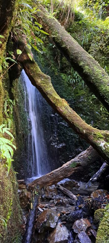 Skerretts Creek waterfall - 2026 - © wainuiomata.net