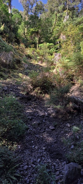 Skerretts Creek Valley slip - 2026 - © wainuiomata.net