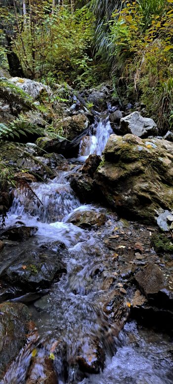 Skerretts Creek - 2026 - © wainuiomata.net