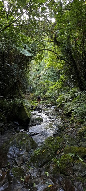 Skerretts Creek - 2026 - © wainuiomata.net