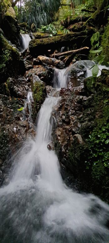 Skerretts Creek - 2026 - © wainuiomata.net