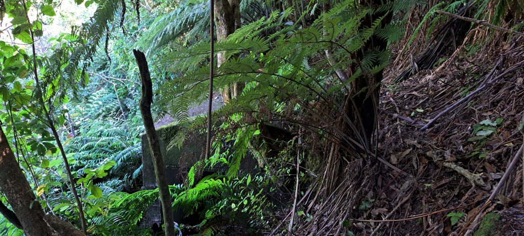 O-K Pipeline Venturi Meter Hut - 2026 - © wainuiomata.net