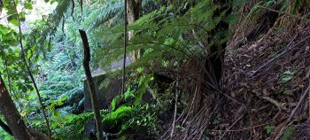 nz7608 O-K Pipeline Venturi Meter Hut - 2026 - © wainuiomata.net