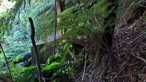 O-K Pipeline Venturi Meter Hut - 2026 - © wainuiomata.net