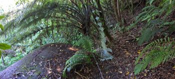 nz7609 O-K Pipeline Venturi Meter Hut - 2026 - © wainuiomata.net