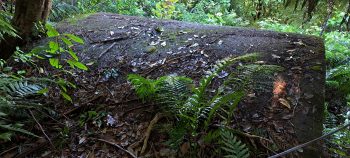 nz7610 O-K Pipeline Venturi Meter Hut - 2026 - © wainuiomata.net