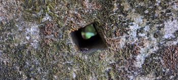 nz7615 Square hole in the wall of the O-K Pipeline Venturi Meter Hut - 2026 - © wainuiomata.net