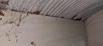 nz7616 O-K Pipeline Venturi Meter Hut - 2026 - © wainuiomata.net