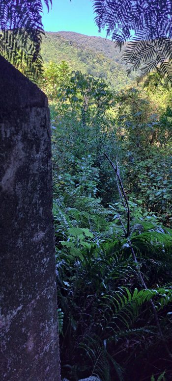 nz7618 O-K Pipeline Venturi Meter Hut - 2026 - © wainuiomata.net