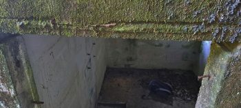 nz7619 O-K Pipeline Venturi Meter Hut - 2026 - © wainuiomata.net