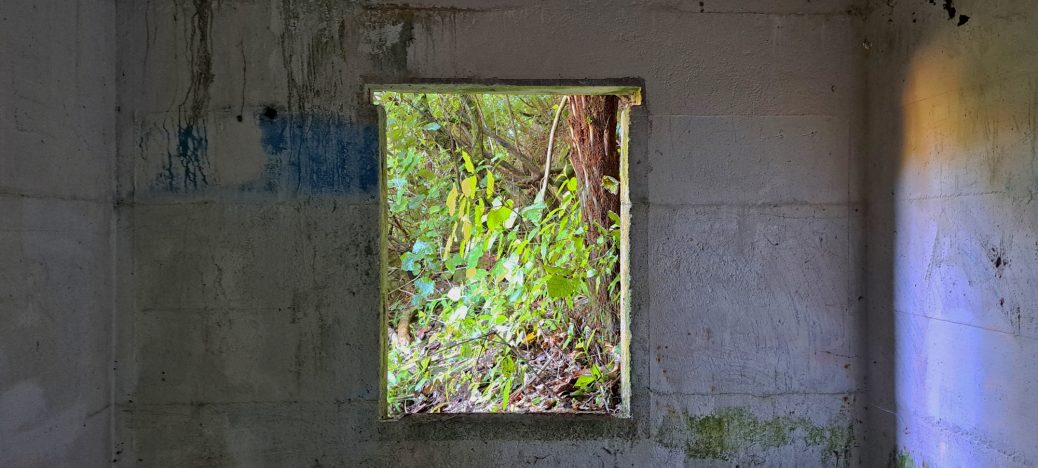 O-K Pipeline Venturi Meter Hut - 2026 - © wainuiomata.net