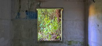 nz7623 O-K Pipeline Venturi Meter Hut - 2026 - © wainuiomata.net