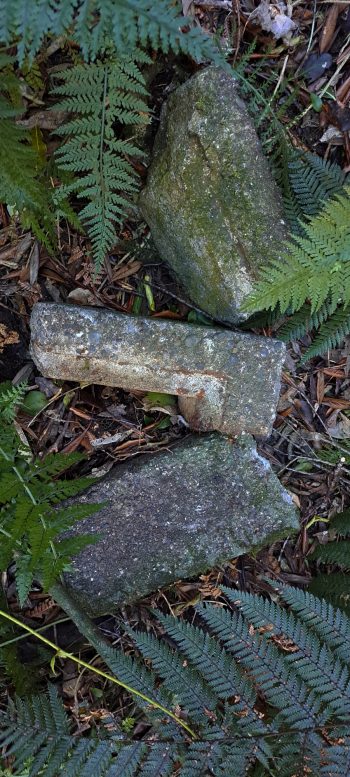 nz7629 Concrete Bricks on Pipe Track - 2026 - © wainuiomata.net