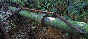 nz7637 Metal pipe or rod compared to Scour Pipe at Pipe Track - 2026 - © wainuiomata.net