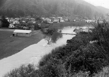Richard Prouse Park flooding - 21 May 1981 - WHMS: L3285