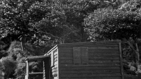 Old Coastwatchers Hut near Okakaho Stream at Fitzroy Bay, Wainuiomata