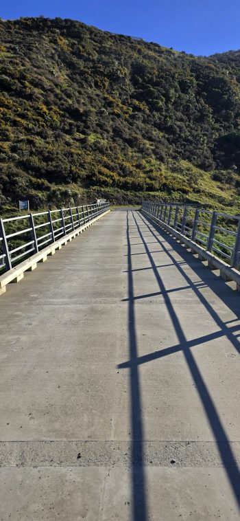 nz8006 Lighthouse Bridge - 2026 - © wainuiomata.net