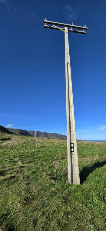 Power Poles across Baring Head - 2026 - © wainuiomata.net