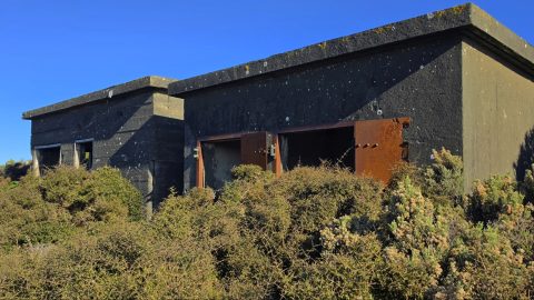 Pillboxes on Para Hill Observation Post - 2026 - © wainuiomata.net