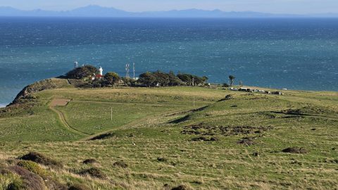 Baring Head seen from Para Hill - 2026 - © wainuiomata.net