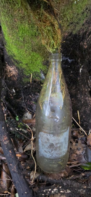 Popular 1970s - 80s soft drink (bottle) called Teal - 2026 - © wainuiomata.net