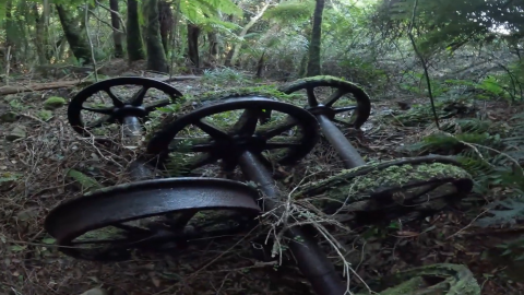 Aerial Flying Fox Wheels