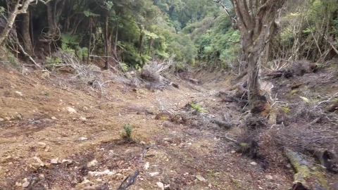 Finding the Massive Skerretts Creek Landslide