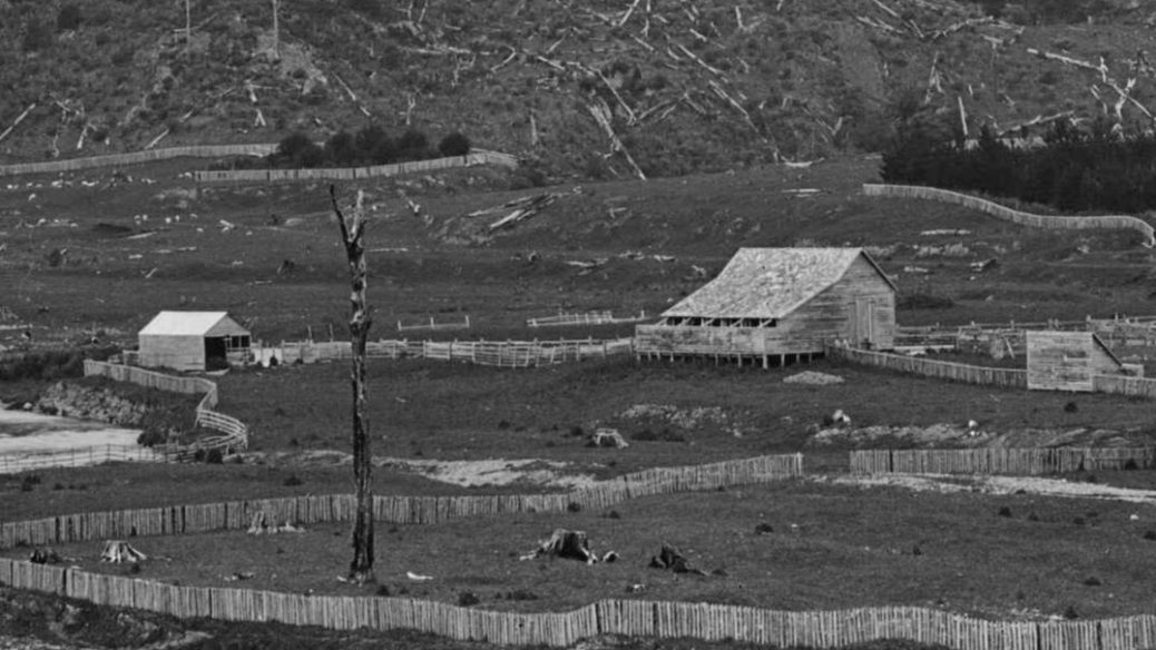 Moness Woolshed & associated buildings in the 1880s