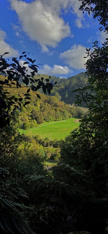 Aerial view of Hine Road Recreation Area - 2026 - © wainuiomata.net