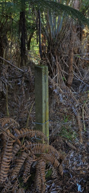 Fence post at Reservoir Valley ridgetop - 2026 - © wainuiomata.net