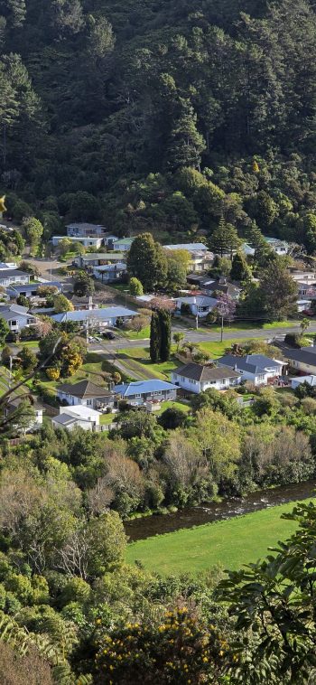 Hine Road and Willis Grove - 2026 - © wainuiomata.net